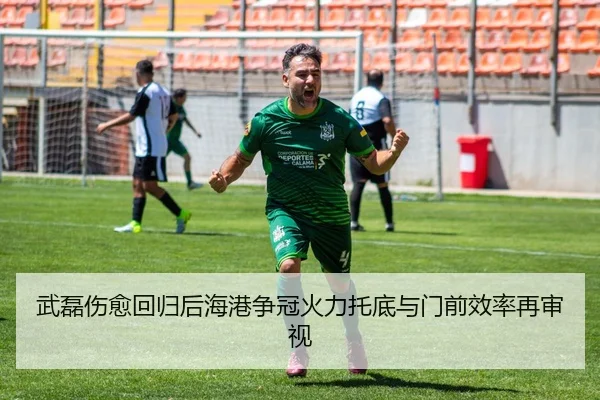 武磊伤愈回归后海港争冠火力托底与门前效率再审视